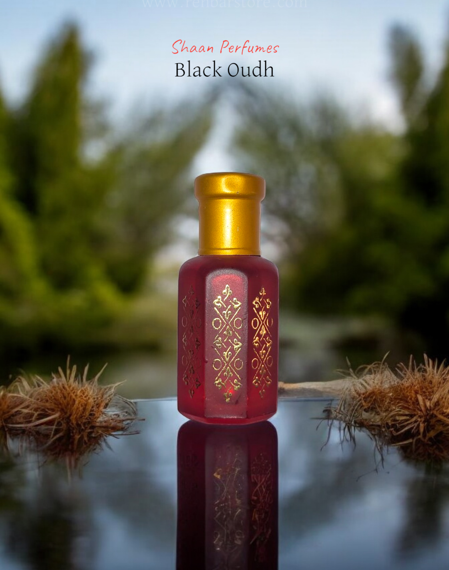 Black Oudh